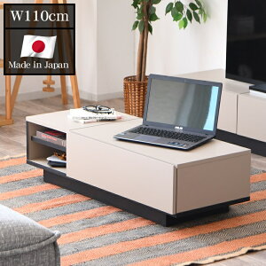 Z^[e[u [  110 s44 30cm  o ` k NX ؐ 110  [e[u 傫 CeA Q e[u Z^[e[u傫 嗝Β [t 