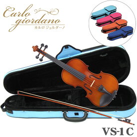 ■バイオリン アウトフィット　VS−1　　カルロ・ジョルダーノ