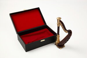 �~�j�`���A�y��@�n�[�v�@15cm