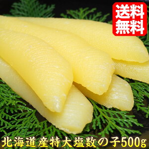 ̎qI ̎q ̂ 500g kCY  Y 10`14{yMtgzŷzysmtb-tkz ̎q lC sioko500 Hi     Ε Mtg 