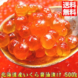 楽天市場 海産物 北海道の通販