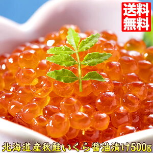  kCY H ݖ ݖЂ 500g  v[g Hi CY kC Hו ̏ݖЂ matatu ͂ Ƃ͂ 39Vbv Mtg  Mtg v[g