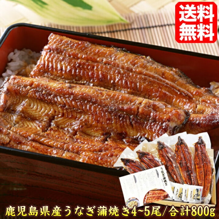 楽天市場 うなぎ 蒲焼き 送料無料 本格 鹿児島県産 4 5尾 総重量800g 蒲焼きのタレ付き 贈答ギフト 取り寄せ ウナギ 国産 鰻 うなぎ蒲焼 国内産 プレゼント ギフト 有頭 真空包装 国産 39ショップ Unagi800 土用の丑の日 おすすめギフト 両親 お中元 自宅用 中