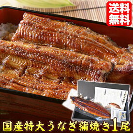 うなぎ 国産 蒲焼き 特大 約220g 1尾 プレゼント 食べ物 ギフト 贈答 お取り寄せグルメ 当店人気 送料無料 プレゼント 贈り物 自宅用 ギフト グルメ コロナ ステイホーム ギフト プレゼント 贈答 母の日 父の日 ギフト