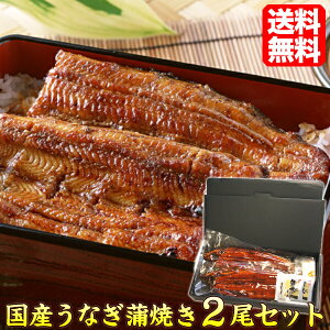 Ȃ Ă Y  2Zbg v[g Hi Hו XlC Mtg  s YV unagi2bi YȂ 39Vbv Mtg  Mtg v[g