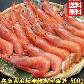 あまえび 特大 甘エビ 天然 兵庫県浜坂産 甘海老 500g 約32尾前後 海鮮 海産物 海の幸 amaebi 大きい 美味しい 甘い 人気 リピート多数 お刺身 送料無料 39ショップ 母の日 ギフト 贈答 プレゼント