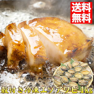 あわび エゾアワビ 殻付き 1kg 約18〜20個 送料無料 鮑 蝦夷あわび 冷凍 加熱用 バーベキュー 年末年始 正月 お歳暮 ギフト プレゼント