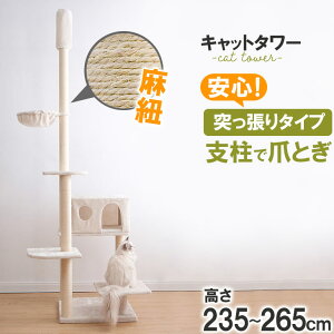 [݌ɏI30ItN[|] Lbg^[ ˂^Cv 235`265cm L^[ ܌ R ˂ L lR ߂Ƃ nbN ȃXy[X Lbgc[ ^s  yb