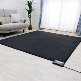 広電 KODEN プレミアム 電気カーペット 2畳 3畳 176×176 235×176 ホットカーペット 厚さ21mm 暖房器具 暖房 電気ホットカーペット 電気 ホット カーペット 冬 秋冬 暖か あったかグッズ 厚手