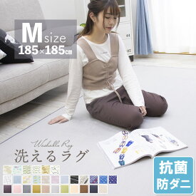 【ジャンル大賞！】 ラグ 洗える 185×185 ラグマット 滑り止め付 西海岸 絨毯 マット 北欧 カーペット 2畳 ホットカーペット対応 おしゃれ 長方形 四角 ウォッシャブル 洗えるラグ 秋 冬 リビング