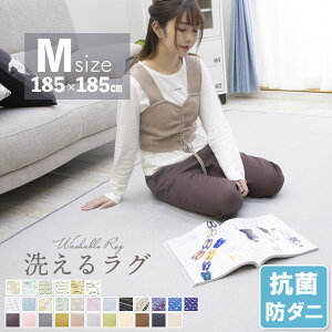 【ジャンル大賞！】 ラグ 洗える 185×185 ラグマット 滑り止め付 西海岸 絨毯 マット 北欧 カーペット 2畳 
