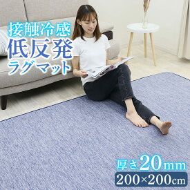 マラソンSALE！ 低反発 ラグ ラグマット 夏用 接触冷感 200×200cm ひんやり ラグマット 低反発 厚20mm 防音 フロア 床 滑り止め付 厚手 ふかふか 北欧 冷感 涼しい クールマット 節電 エコ 極厚 夏