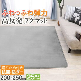 【抗菌 防ダニ】ラグ 高反発 極厚25mm 200×250cm ラグ 厚手 滑り止め ラグマット カーペット 3畳 ホットカーペット対応 リビング 高反発ラグ 春 夏 フリーリー