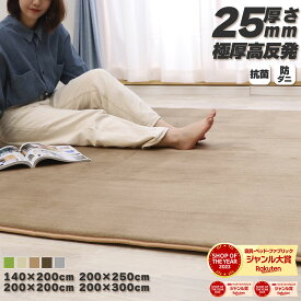 【5％オフクーポン！】 ［選べる！4サイズ5カラー］ ラグ 高反発 極厚25mm 200×300cm 200×250cm 200×200cm 140×200cm ラグ 厚手 滑り止め ラグマット カーペット 3畳 ホットカーペット対応 リビング 高反発ラグ 春 夏
