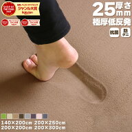 【5％オフクーポン！】 ラグ 低反発 極厚25mm 140×200cm 200×200cm 200×250cm 200×300cm 厚手 滑り止…