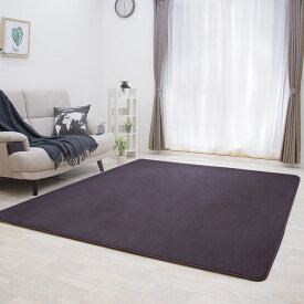 【抗菌 防ダニ】ラグ 低反発 ラグ 極厚25mm 200×250cm ラグ 厚手 滑り止め 低反発マット マット カーペット 長方形 四角 絨毯 オールシーズン可 リビング マイクロファイバー 秋 冬 フリーリー