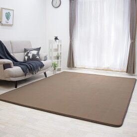 【抗菌 防ダニ】ラグ 低反発 ラグ 極厚25mm 200×250cm ラグ 厚手 滑り止め 低反発マット マット カーペット 長方形 四角 絨毯 オールシーズン可 リビング マイクロファイバー 秋 冬 フリーリー