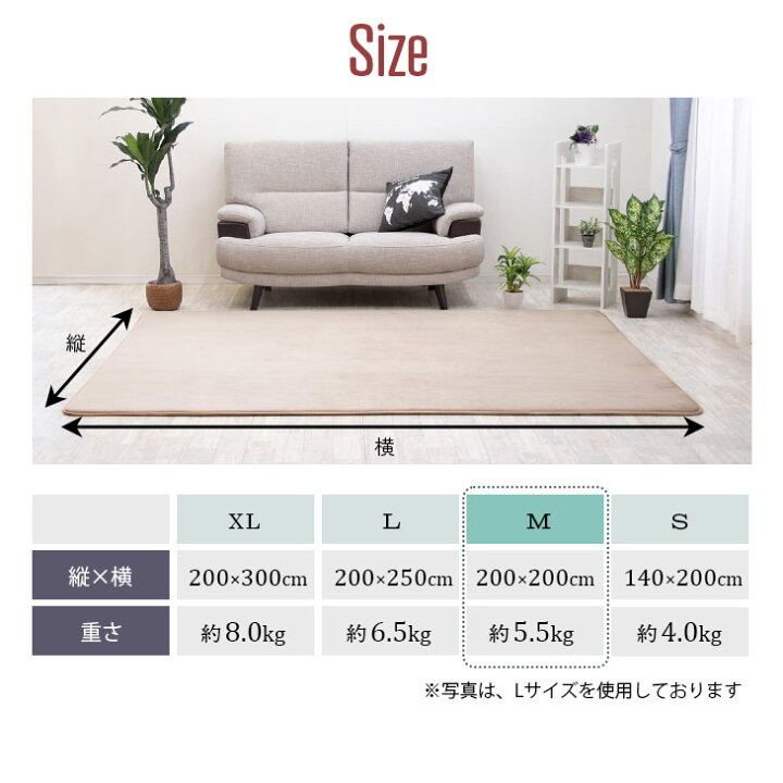 楽天市場】サマーセール! 【抗菌 防ダニ】ラグ 低反発 極厚25mm 200×200cm ラグ 厚手 滑り止め ラグマット カーペット 2畳 ホットカーペット対応 リビング 夏 用 フリーリー : フリーライフ 楽天市場】サマーセール! 【抗菌 防ダニ】ラグ 低反発 極厚25mm 200×200cm ラグ 厚手 滑り止め ラグマット カーペット 2畳 ホットカーペット対応 リビング 夏 用 フリーリー : フリーライフ