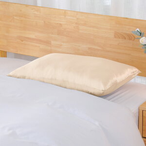 yW܁Iz VNJo[ VN Jo[  t@Xi[ 43×63cm Jo[ Jo[ VN100 VN܂Jo[  􂦂    s[P[X 43×63 ێ e 19