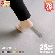 【SS限定78％オフ！】 ラグ 低反発 極厚25mm 200×300cm ラグ 厚手 滑り止め ラグマット カーペット 4畳 …