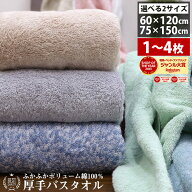【ジャンル大賞！】 タオル バスタオル ビッグバスタオル 大判サイズ 60×120cm 75×150cm 綿100％ 厚手 …