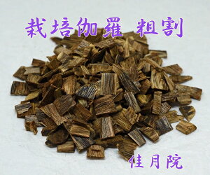 ͔| e O3480~ ʂ蔄 10g  ͔|       F    h 퍁   A}  Ζ T̕   VR 