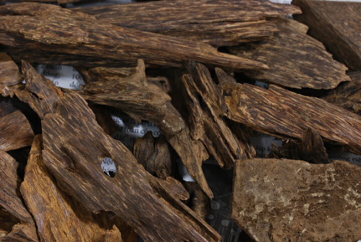 楽天市場】訳あり ベトナム産天然沈香【高ランク甘味】5g 量り売り  