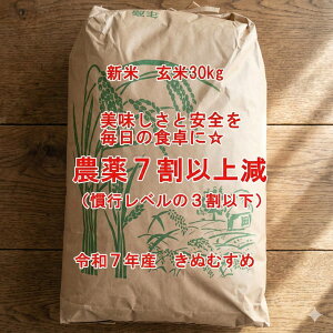 V _7ȏ㌸ ߘa7NY ʂނ  30kg 10܌ n ꕔn摗 Ȃ_炵͔| LkX   R ϓcS 쒬 Ð Rh  2025NY _