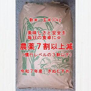 V _7ȏ㌸ ߘa7NY ʂނ  30kg 10܌ n ꕔn摗 Ȃ_炵͔| LkX   R ϓcS 쒬 Ð Rh  2025NY _