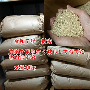 V ߘa7NY ʂނ  30kg 10܌ n Ȃ_炵͔| LkX   R ϓcS 쒬 Ð Rh  2025NY