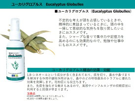 【ユーカリグロブルス】天然アロマが香る 除菌 抗菌 マスクスプレー アロマスプレー 60ml 1本 ウイルス 細菌 カビ 99.9％の除菌抗菌 アルコール系不使用 天然アロマ精油配合 ラベンダー レモングラス ゆずもぜひ マスク マスク用 アロマ 精油 日本原料 日本製 MADE IN JAPAN