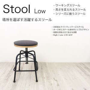 y ߉\ Xc[ zy LOW [^Cvz`FA kX^C ACA ֎q ۈ֎q [LO ACA O[