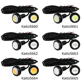 LED スポットライト イーグルアイ 大玉 防水 12V 10W 23mm 黒色ソケット 2個