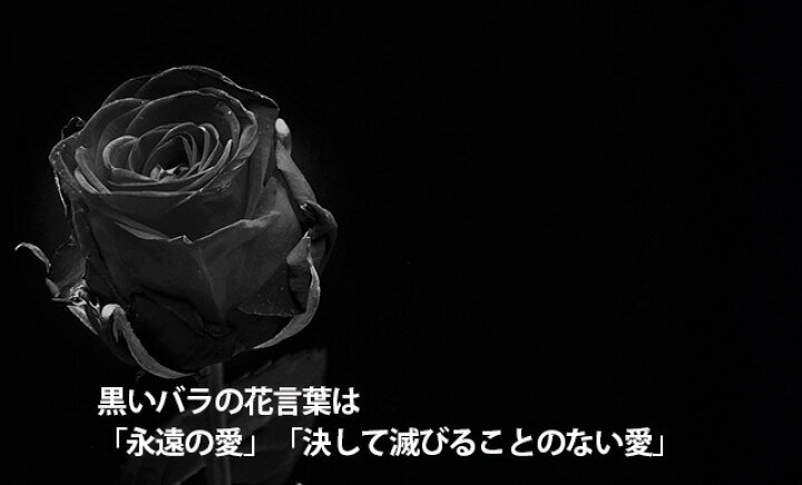 楽天市場】薔薇 バラの花束 黒 薔薇 黒バラ 10本 ブーケ ギフト バラの 