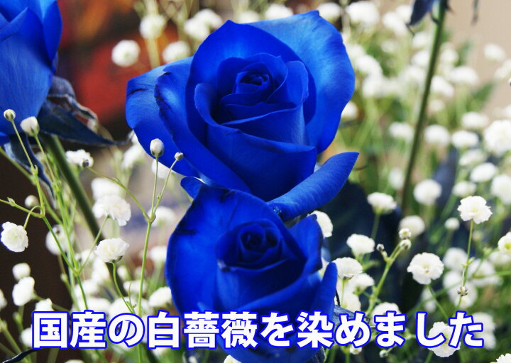 楽天市場】青いバラ ブルーローズ 50本 花束 ブーケ 青い薔薇 バラ 花 