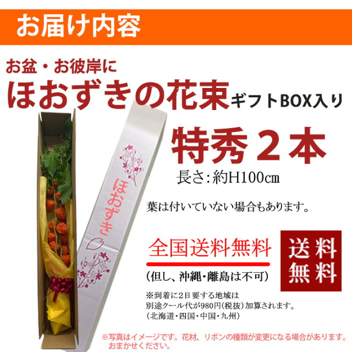 楽天市場 ほおずき 盆 お盆 2本 花束 ほうずき 切り花 お供え 花 鬼灯 お盆用品 生花 お盆飾り セット ミニ 花屋 造花 スノーピーク インカベリー 浅草 ほおずき市 食用ほおずき 風鈴 浅草寺 鉢植え 朝顔 花ギフ 花ギフト 山形産果物野菜