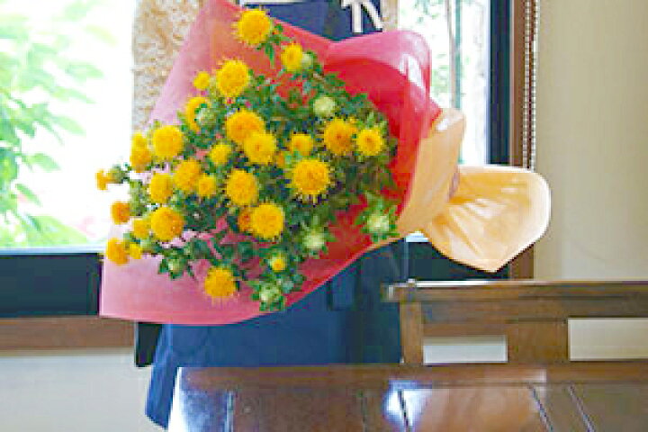 楽天市場 紅花 送料無料 紅花束 べに花 ベニバナ ベニ花 べにばな 山形 紅花染め 紅花油 紅花墨 紅花紬 口紅 紅花食品 紅花茶 ポイント消化 100円 300円 500円 花ギフト 山形産果物野菜 花樹有