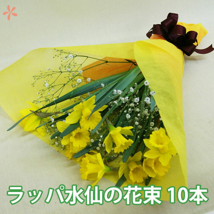 楽天市場 水仙 ラッパ 花束 送料無料 スイセン 水仙の花 水仙 花束 水仙の ミニ ミニスイセン 日本水仙 水仙まつり 花ギフト 誕生日 結婚記念日 ポイント消化 100円 300円 500円 花ギフト 山形産果物野菜 花樹有