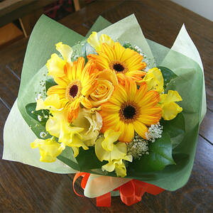  ͂̂Ԃ𑡂낤 uK̉F̃fR[u[Pv v[g a LO \ ʉ } Ώj hV̓ 100~ 300~ 500~