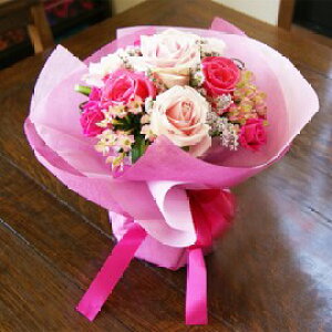 sNKÑfR[u[P v[g a LO \ ʉ NX}X vw̓ ΕEΏj̃v[g  ԃMtg hV̓