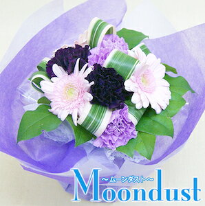 ̓ J[l[V [g_Xg   y ԕr̗vȂԑ fR[u[P z  A   Mtg Zbg n[oE ԑ {bNX Ӓ ϗtA vU[uht