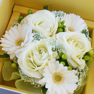 vw̓ t[P[L  BOX AWg ԃMtg y^tt̃P[Lz a LO Nn { |Cg