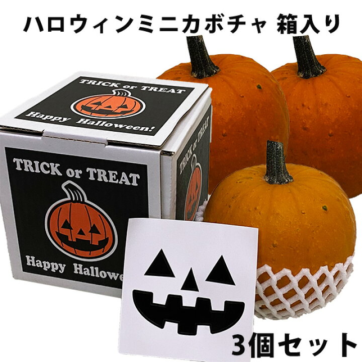 楽天市場 ハロウィン かぼちゃ カボチャ 生かぼちゃ オータムゴールド ミニ 3個 セット 飾り 巨大 置物 装飾 オブジェ パンプキン オーナメント 屋外 玄関 魔女 かぼちゃの馬車 花ギフト ポイント消化 100円 300円 500円 花ギフト 山形産果物野菜 花樹有 楽天市場 ハロウィン かぼちゃ カボチャ 生かぼちゃ オータムゴールド ミニ 3個 セット 飾り 巨大 置物 装飾 オブジェ パンプキン オーナメント 屋外 玄関 魔女 かぼちゃの馬車 花ギフト ポイント消化 100円 300円 500円 花ギフト 山形産果物野菜 花樹有