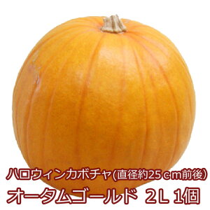 nEBJ{` nEB J{` ڂ  y I[^S[h 2L 1 z   u  IuWF pvL I[ig _Y nEBJ{` nEB
