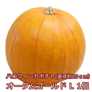 nEBJ{` nEB J{` ڂ  y I[^S[h LTCY 20cm`22cm1 z   u  IuWF pvL I[ig _Y nEBJ{`