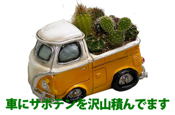楽天市場】サボテン 鉢 寄せ植え セット 【 トラック 車 ミニカー 