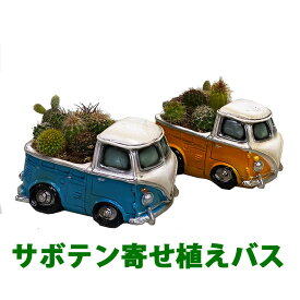 サボテン 鉢 寄せ植え セット 【 トラック 車 ミニカー 】 おしゃれ ギフト レア 誕生日 結婚記念日 父の日 母の日 クリスマス 敬老の日 お中元 ハオルチア アエオニウム エケベリア ビスタ プランター カット苗 セダム 花ギフト