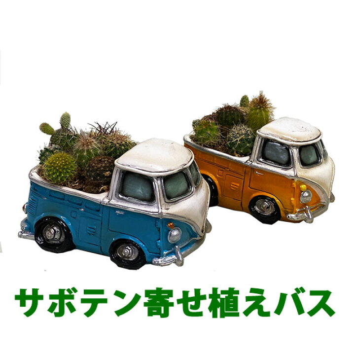 楽天市場】サボテン 鉢 寄せ植え セット 【 トラック 車 ミニカー 