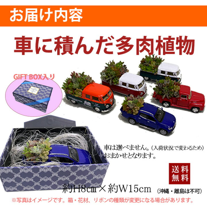 楽天市場】多肉植物 鉢 寄せ植え セット 【 車 】 おしゃれ ギフト 