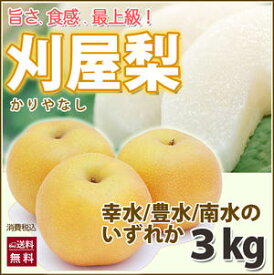 梨 果物 幸水 南水 豊水 送料無料 刈屋梨　贈答用 3kg 敬老の日 お彼岸 山形 庄内 かりやなし 鳥海山 なし 農産物 10kg 5kg 訳あり ポイント消化 100円 300円 500円